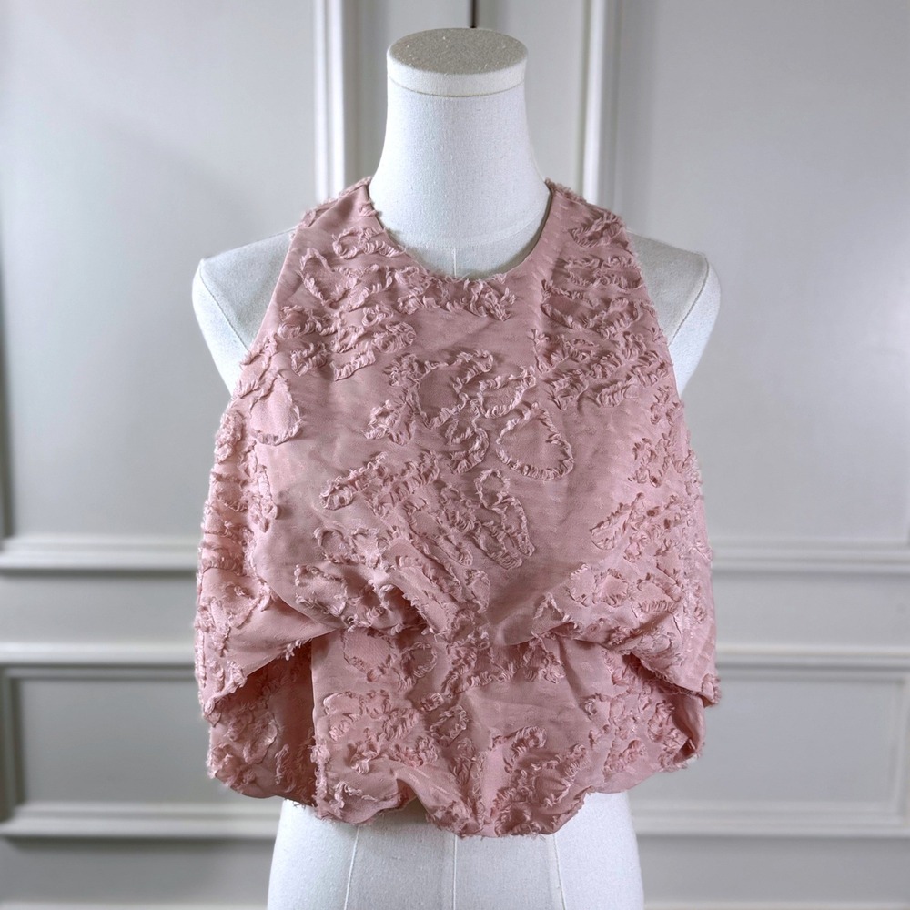 Zara Fringed Textured High Neck Crop Top Women's S Pink Sleeveless Office Chic
